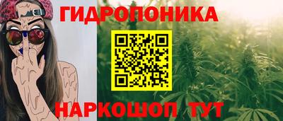 мдпв Анапа