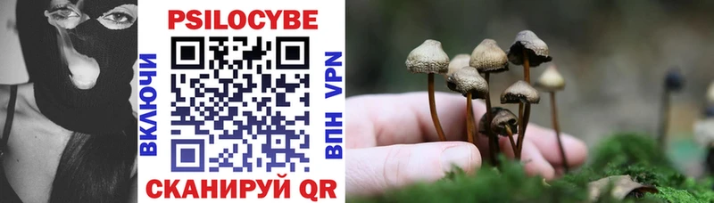Псилоцибиновые грибы мухоморы  купить закладку  ссылка на мегу как зайти  Морозовск 