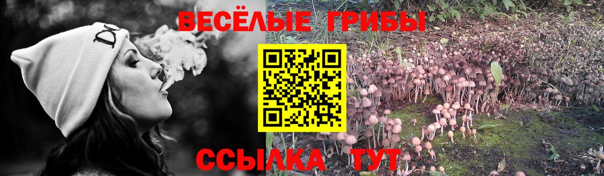 Псилоцибиновые грибы MAGIC MUSHROOMS Морозовск